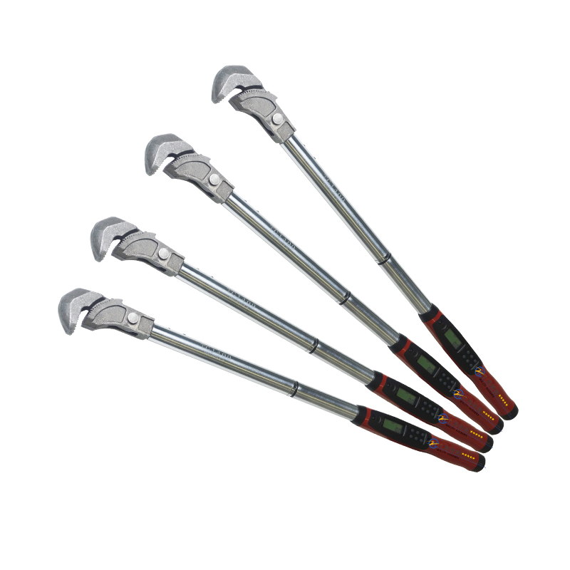 ����Ť�ذ��ָֽ����ר��